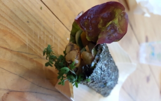 Tempeh in Sushirolle mit Salat und Kräutern