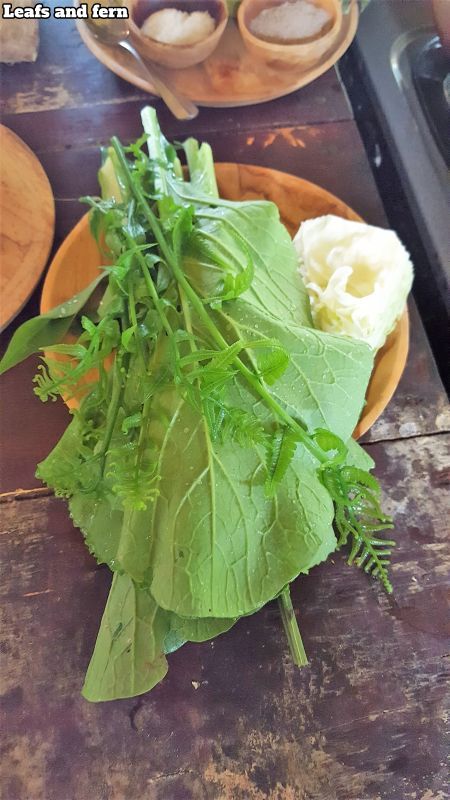 Bali Farm Cooking School. Leafs and fern. Ready to get chopped.