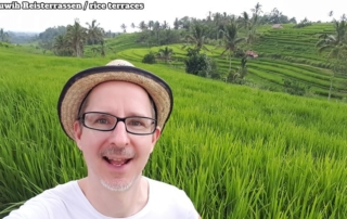 Jatiluwih Reisterrassen/rice terraces. Me in the front, rice terraces, in between a few palm trees. Ich im Vordergrund, dahinter Reisterrassen und dazwischen ein paar Palmen.