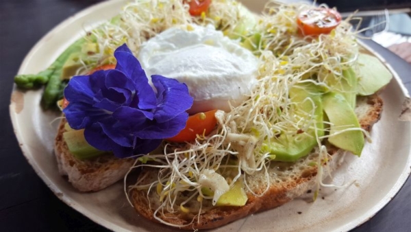 Eating out in Ubud. Mudra Café. Avogasm toast with poached egg. Toasted chiabbata with avocado, sprouts, secret French sauce with garlic and a poached egg. Decorated with a blue flower.