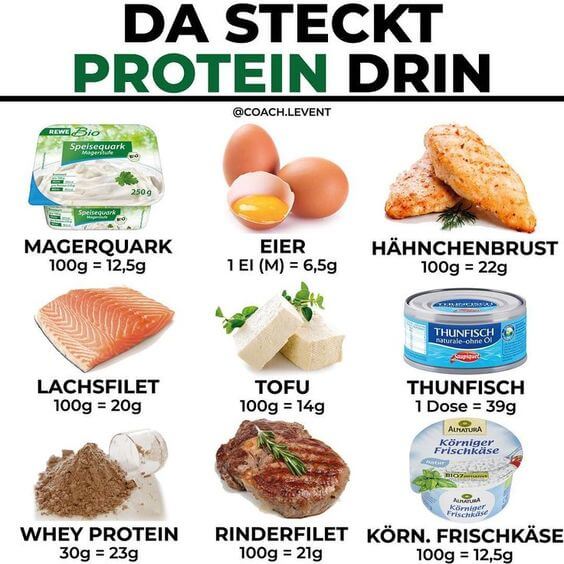 Tierische Proteinquellen