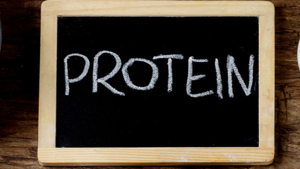 Veganuary Proteinschild