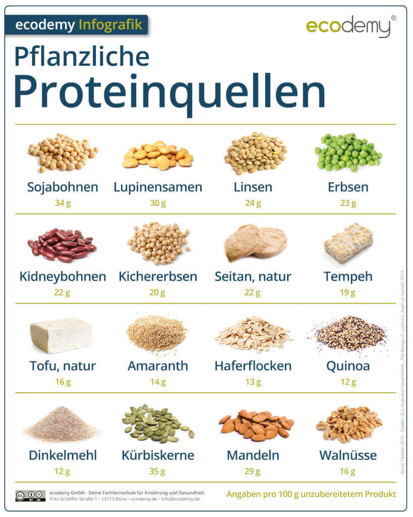 Veganuary-infografik-pflanzliche-proteinquellen