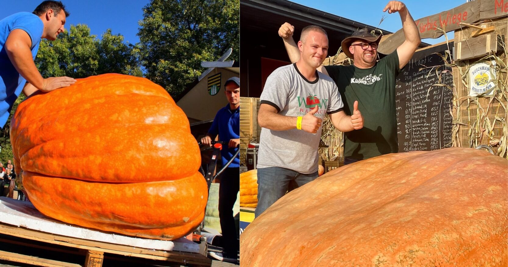 Größtes Kürbiswiegen der Welt - World's biggest Pumpkin Weighing